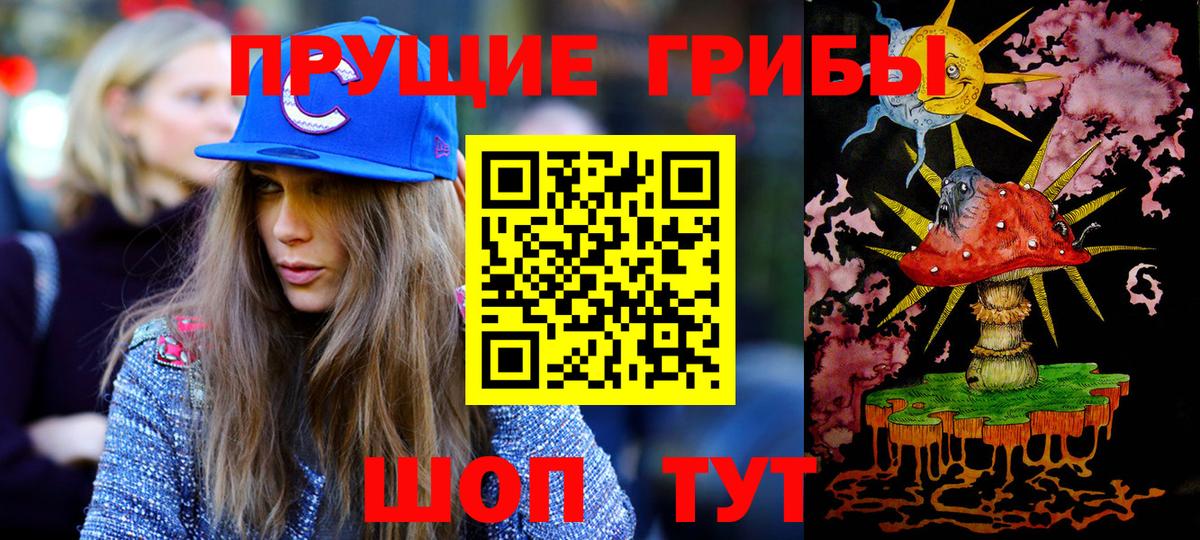 Галлюциногенные грибы Psilocybe Алатырь