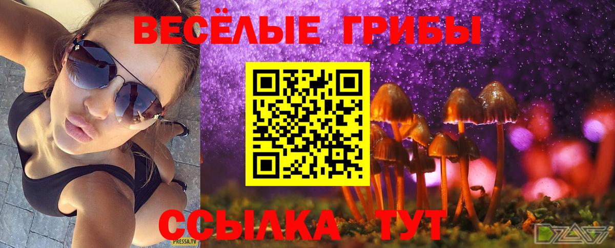 Псилоцибиновые грибы Magic Shrooms  Вход с VPN  Псилоцибиновые грибы MAGIC MUSHROOMS  Алатырь 