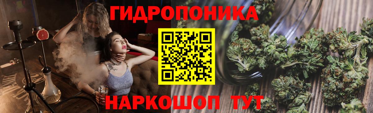 Алатырь  Бошки марихуана индика  МАРИХУАНА конопля  Каннабис планчик  Вход с VPN 